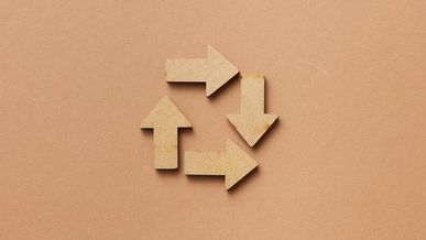 Les franchises écoresponsables : une tendance forte