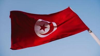 Franchise en Tunisie : les clés pour réussir son implantation et développer son réseau
