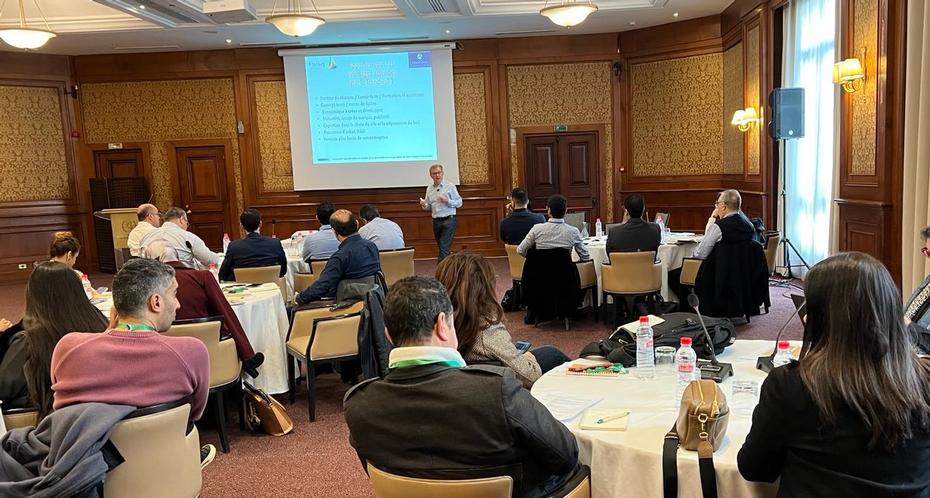 Formation des franchiseurs en Tunisie en 2025 par Afrique Franchise Université