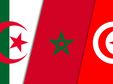 Journée Maghreb au 1er e-congrès de la franchise francophone