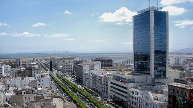 Les Nouveaux Franchiseurs Tunisiens : Un Écosystème en Pleine Expansion